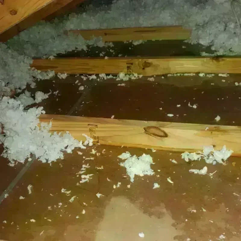 Attic Water Damage in Spring Hill, FL